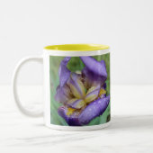 Tasse 2 Couleurs Iris Violet (Iris Germanica) (Gauche)