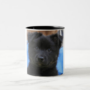 Tasse 2 Couleurs Irish Sheepdog 2014-0805