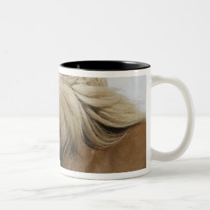 Tasse 2 Couleurs Islande. Portrait de cheval islandais.