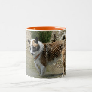 Tasse 2 Couleurs Islandhund
