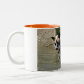Tasse 2 Couleurs Islandhund (Gauche)