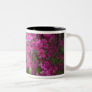 Tasse 2 Couleurs Italie, Sicile, Cefalu, cour fleurie de