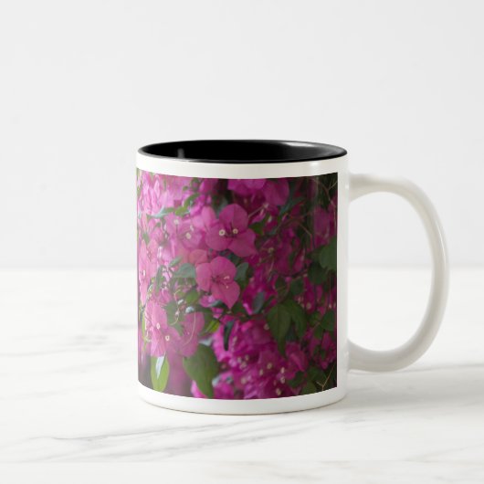 Tasse 2 Couleurs Italie, Sicile, Cefalu, cour fleurie de (Droit)