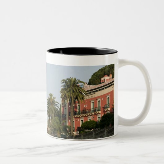 Tasse 2 Couleurs ITALIE, Sicile, TAORMINE : Hotel Schuler (Droit)