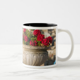 Tasse 2 Couleurs Italie, Sicile, Termini Imerese, Vue & Fleurs