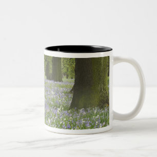 Tasse 2 Couleurs Jacinthes et chênes au printemps, Little Hagley