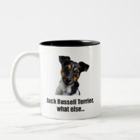 jack russell terrier, quoi d'autre...