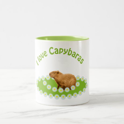 Tasse 2 Couleurs J'adore les capybaras (Centre)