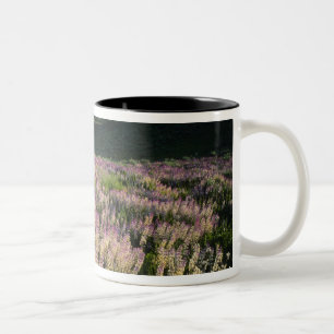 Tasse 2 Couleurs Jarbridge Wilderness et Montagnes, Nevada, Éperon