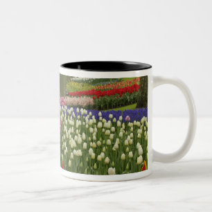 Tasse 2 Couleurs Jardin de tulipes et de jacinthes, Jardins de Keuk