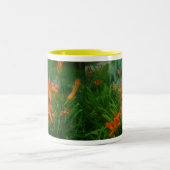 Tasse 2 Couleurs Jardins orange (Centre)