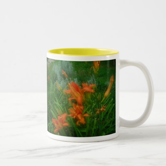 Tasse 2 Couleurs Jardins orange (Droit)