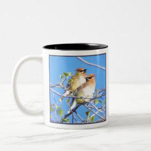 Tasse 2 Couleurs Jaseurs de cèdre