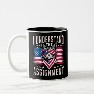 Tasse 2 Couleurs Je comprends la mission Chat Dame sans chat