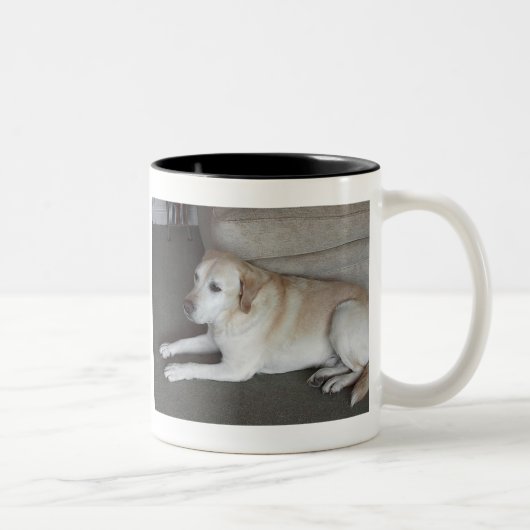 Tasse 2 Couleurs Je suis BaileyThe PhilosopherI'm… (Droit)