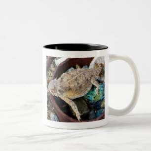 Tasse 2 Couleurs "Je vois un lézard sur une roche "