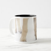 Tasse 2 Couleurs jeu, amical, curiosité (Devant gauche)