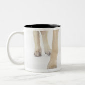 Tasse 2 Couleurs jeu, amical, curiosité (Gauche)
