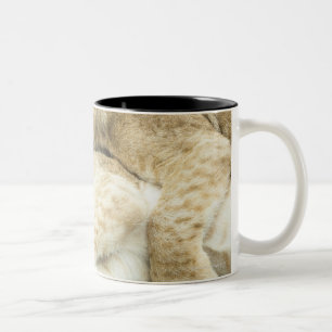 Tasse 2 Couleurs Jeu de deux petits animaux de lions