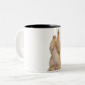 Tasse 2 Couleurs Jeu de Persan (3 années) (Devant gauche)