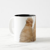 Tasse 2 Couleurs Jeu de Persan (3 années) (Devant gauche)
