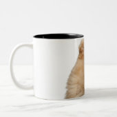Tasse 2 Couleurs Jeu de Persan (3 années) (Gauche)