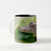 Tasse 2 Couleurs Jeune Alligator (Devant gauche)