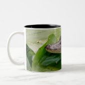 Tasse 2 Couleurs Jeune Alligator (Gauche)