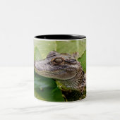 Tasse 2 Couleurs Jeune Alligator (Centre)