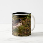 Tasse 2 Couleurs Jeune Alligator (Devant droit)