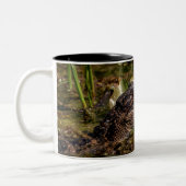 Tasse 2 Couleurs Jeune Alligator (Gauche)