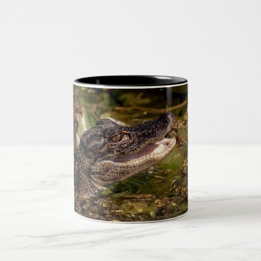 Tasse 2 Couleurs Jeune Alligator (Centre)