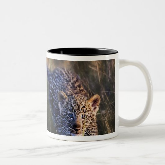 Tasse 2 Couleurs Jeune léopard Panthera Pardus (Droit)