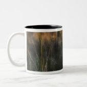 Tasse 2 Couleurs Jeune léopard Panthera Pardus (Gauche)