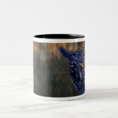 Tasse 2 Couleurs Jeune léopard Panthera Pardus (Centre)