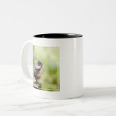 Tasse 2 Couleurs Jeune Robin (Devant gauche)