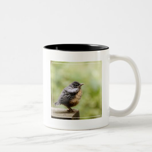 Tasse 2 Couleurs Jeune Robin (Droit)