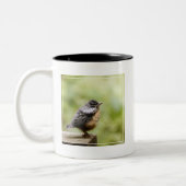 Tasse 2 Couleurs Jeune Robin (Gauche)