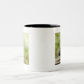 Tasse 2 Couleurs Jeune Robin (Centre)