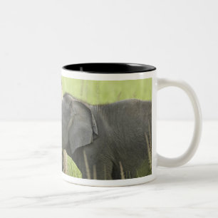 Tasse 2 Couleurs Jeunes éléphants d'Inde / d'Asie
