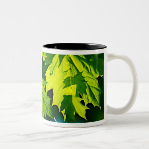 Tasse 2 Couleurs Jeunes feuilles de érable vertes