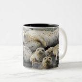 Tasse 2 Couleurs Joints de port (Devant droit)