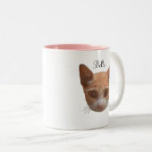 Tasse 2 Couleurs Joli chaton tabby roux (Devant droit)