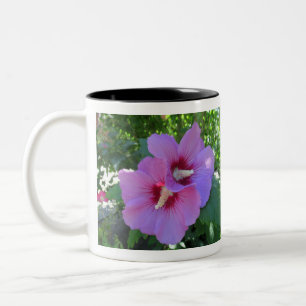 Tasse 2 Couleurs Jolie rose rose de Sharon Photo