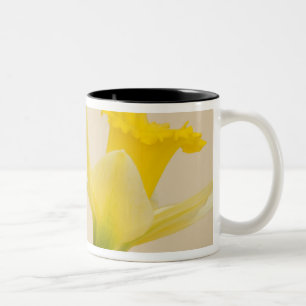 Tasse 2 Couleurs Jonquilles jaunes
