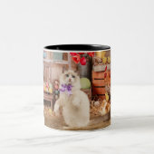 Tasse 2 Couleurs Joyeux Ragdoll Kitten de Pâques (Centre)