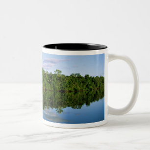 Tasse 2 Couleurs Juruena, Brésil. Rive boisée de la rivière reflété