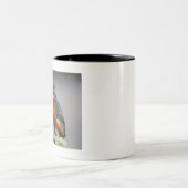 Tasse 2 Couleurs Kingfisher (Centre)