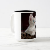 Tasse 2 Couleurs Kitten blanc vulnérable (Devant gauche)