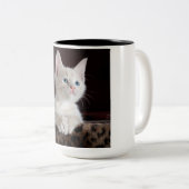Tasse 2 Couleurs Kitten blanc vulnérable (Devant droit)